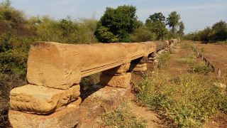 Start of conservation